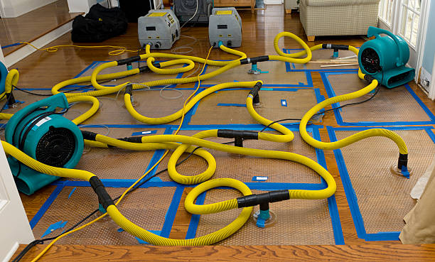 Professional Sewage Cleanup technician working in Okarche, OK